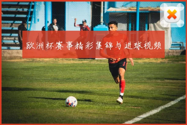 欧洲杯赛事精彩集锦与进球视频