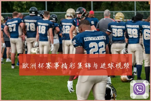 欧洲杯赛事精彩集锦与进球视频