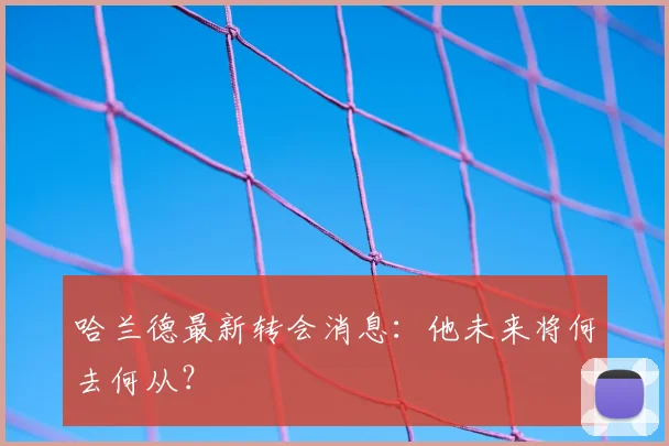 哈兰德最新转会消息：他未来将何去何从？